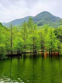 週末去浦江神麗峽打卡，真係超值！青山疊翠