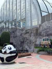 從香港出發往澳門路環的交通攻略 