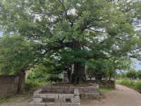 湖南衡南高新古村