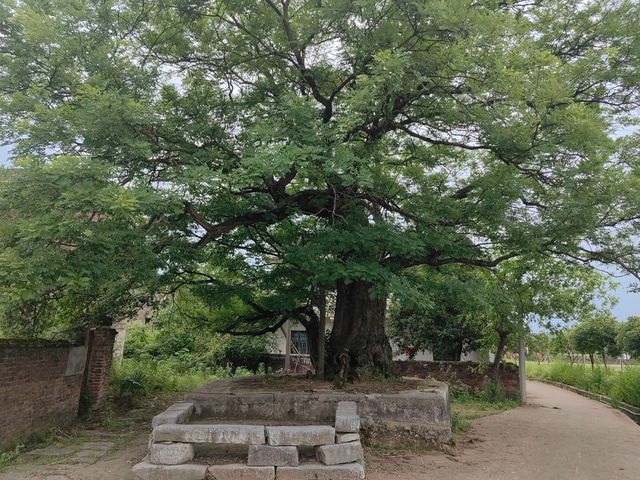 湖南衡南高新古村