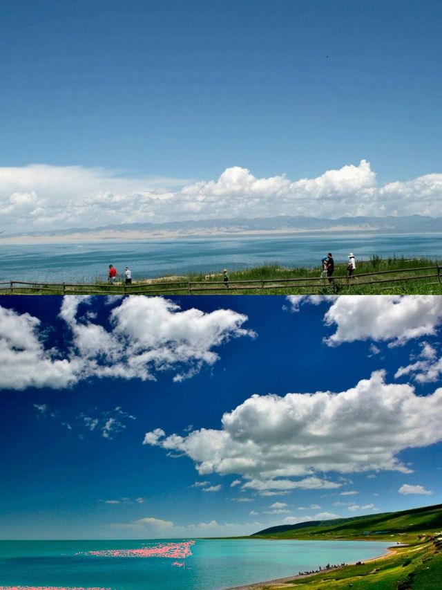 青海湖6月旅行全攻略 | 邂逅高原藍寶石與金黃花海