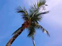 Dive, Hike, Party: Backpacking Koh Tao Like a Pro