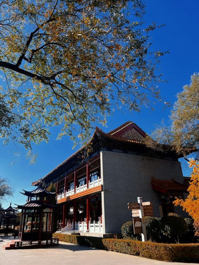 齊齊哈爾市遊、扎龍自然保護區、大乘寺