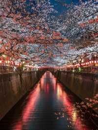 東京夜景天花板！竟然免費？！