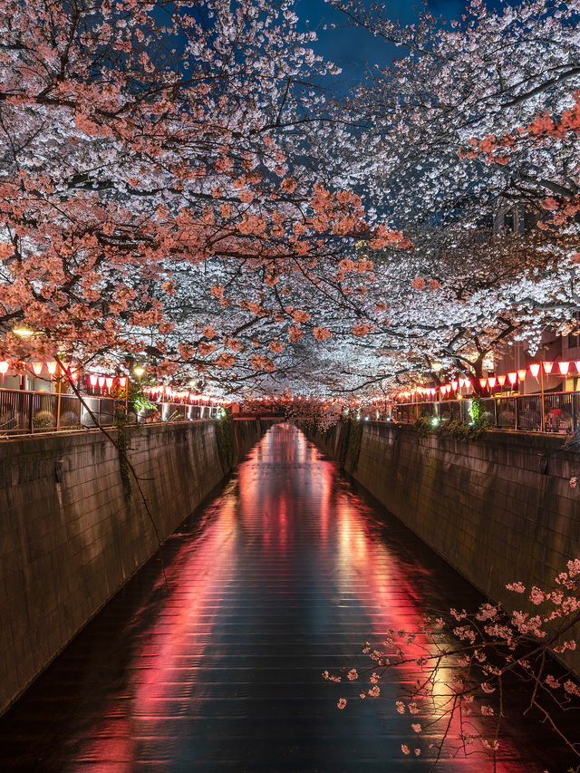 東京夜景天花板！竟然免費？！
