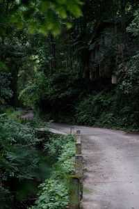 香積寺探幽 | 合谷山居專屬行山體驗