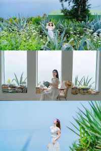 涠洲島最成功的一次春夏懸崖花園