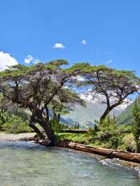 講真話可能難聽，但呢啲都係四姑娘山6-7月嘅真實情況