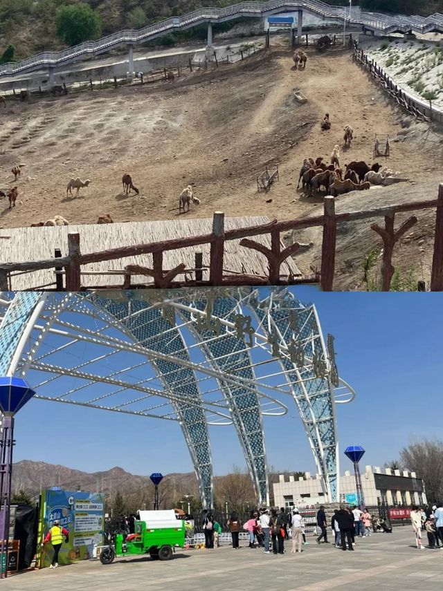 內蒙古·呼和浩特丨最全旅遊攻略，必打卡景點與美食