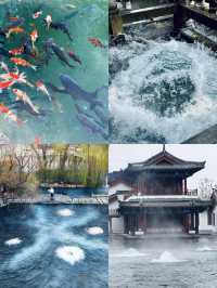 • 《濟南嘅大爺大媽有幾硬核？護城河冬泳、泉水邊打啤牌，真識玩
