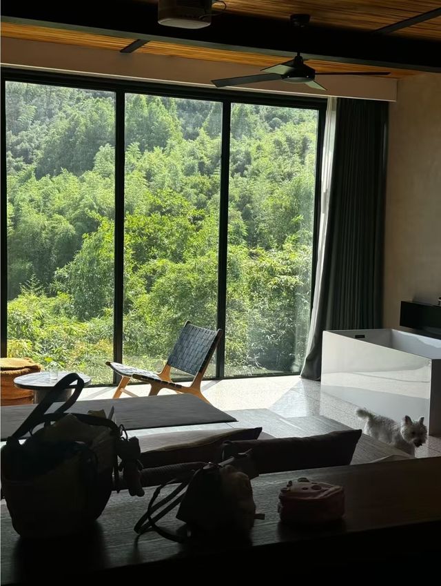 隱居山間民宿，尋回遺失嘅悠閒感