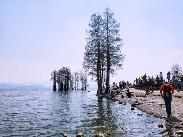 去年平均氣溫15.2℃嘅大理，過夏天啦