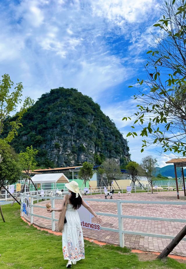 桂海晴嵐畢業季一齊嚟狂歡呢個夏天
