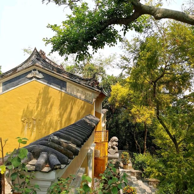 香港深度游｜青山禪院！香港「三大古剎」之一！探尋香港佛教發源地（上）…