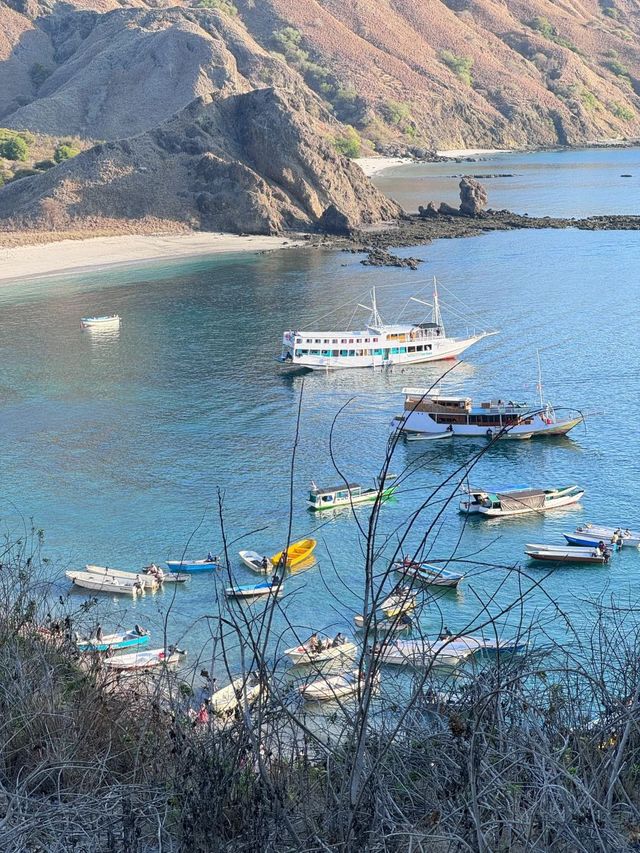 呢度嘅粉紅色滿足晒對海島嘅幻想|科莫多