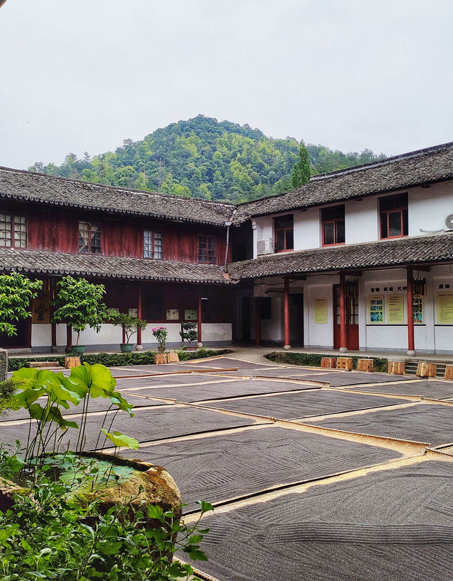 國清寺攻略·解鎖千年古剎的正確打開方式