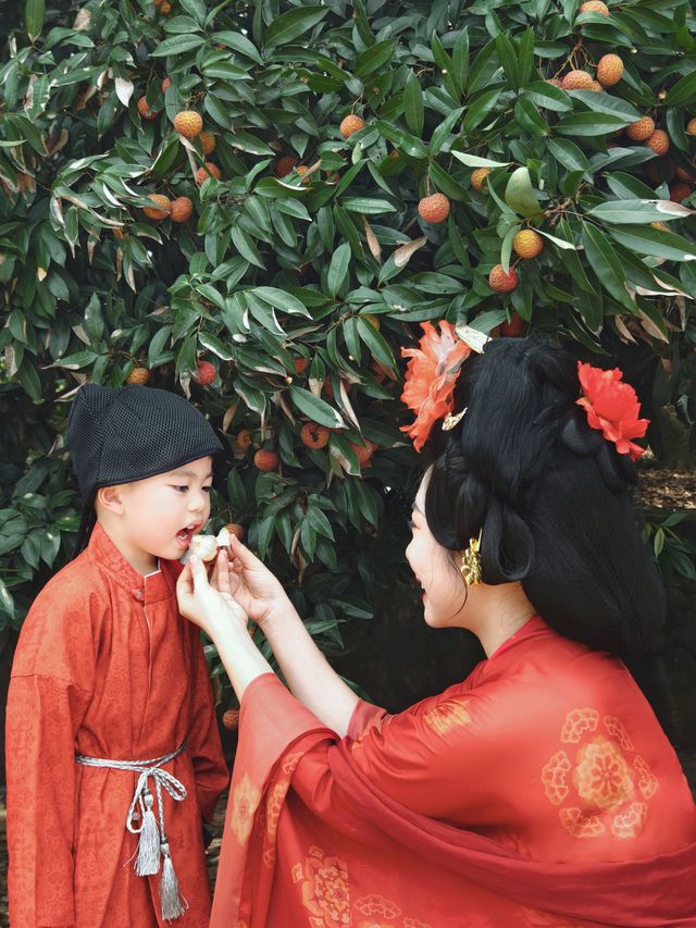 夏天到廣西遊“荔”山海，穿越回大唐，體驗貴妃食荔枝的樂趣！