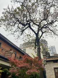 長沙城市民宿新標竿！兩間亦間的沉浸式旅居體驗