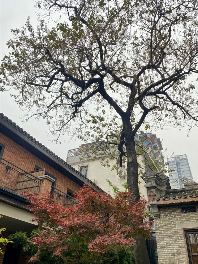 長沙城市民宿新標竿！兩間亦間的沉浸式旅居體驗