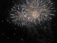 坦帕市獨立日慶典