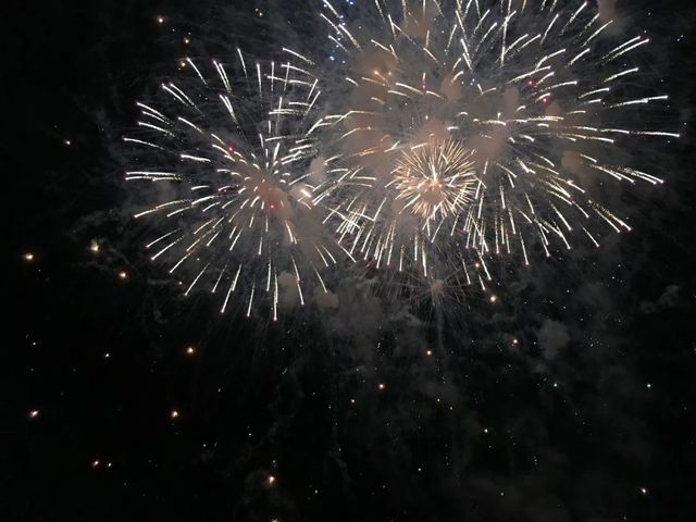 坦帕市獨立日慶典