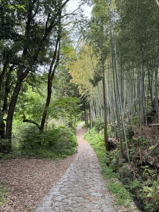 舊中山道｜馬籠宿-妻籠宿-南木曾（附攻略）