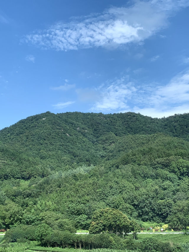 朋友圈問到爆嘅廬江