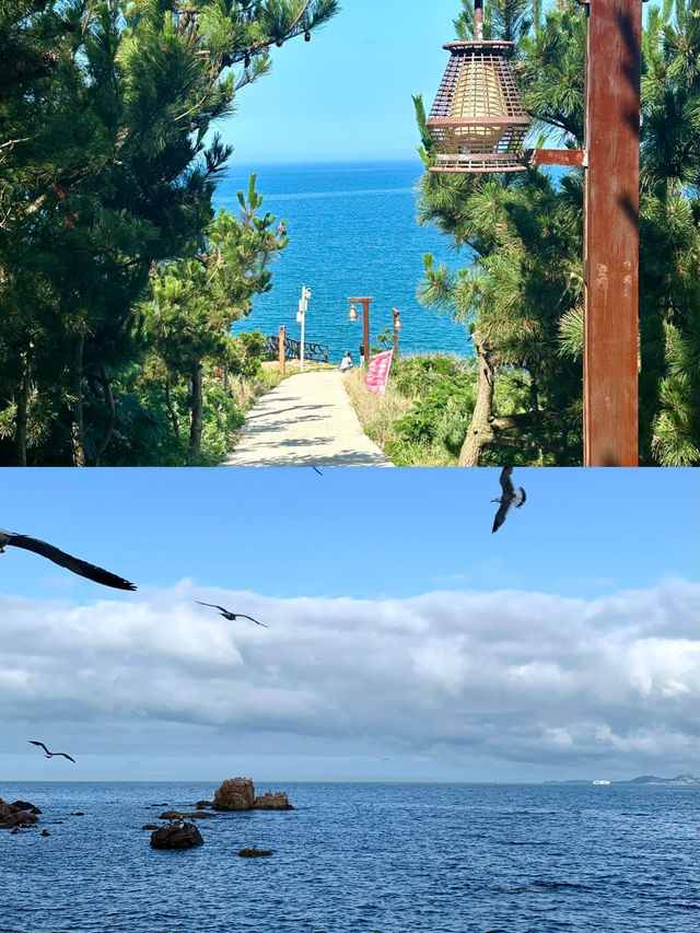 比青島人少！比三亞浪漫！中國最美海岸線の隱藏玩法大公開！