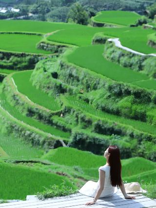 一年中最治愈的「抹茶千层」时刻终于来了！