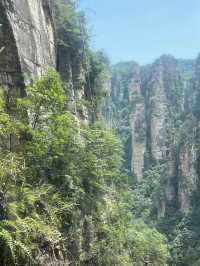 ✨ Trip Moment: Zhangjiajie ✨