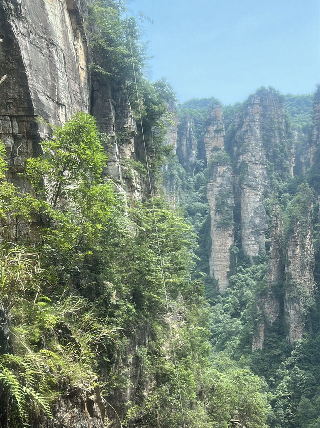 ✨ Trip Moment: Zhangjiajie ✨