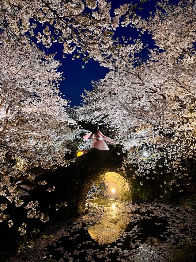 杭城live｜風花雪月、一年四季