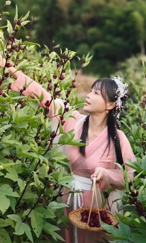 夏天避暑好去處！未見山染民宿