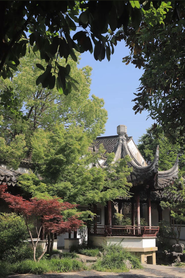 希貝至香樟公園：旅拍中的城市逸韻