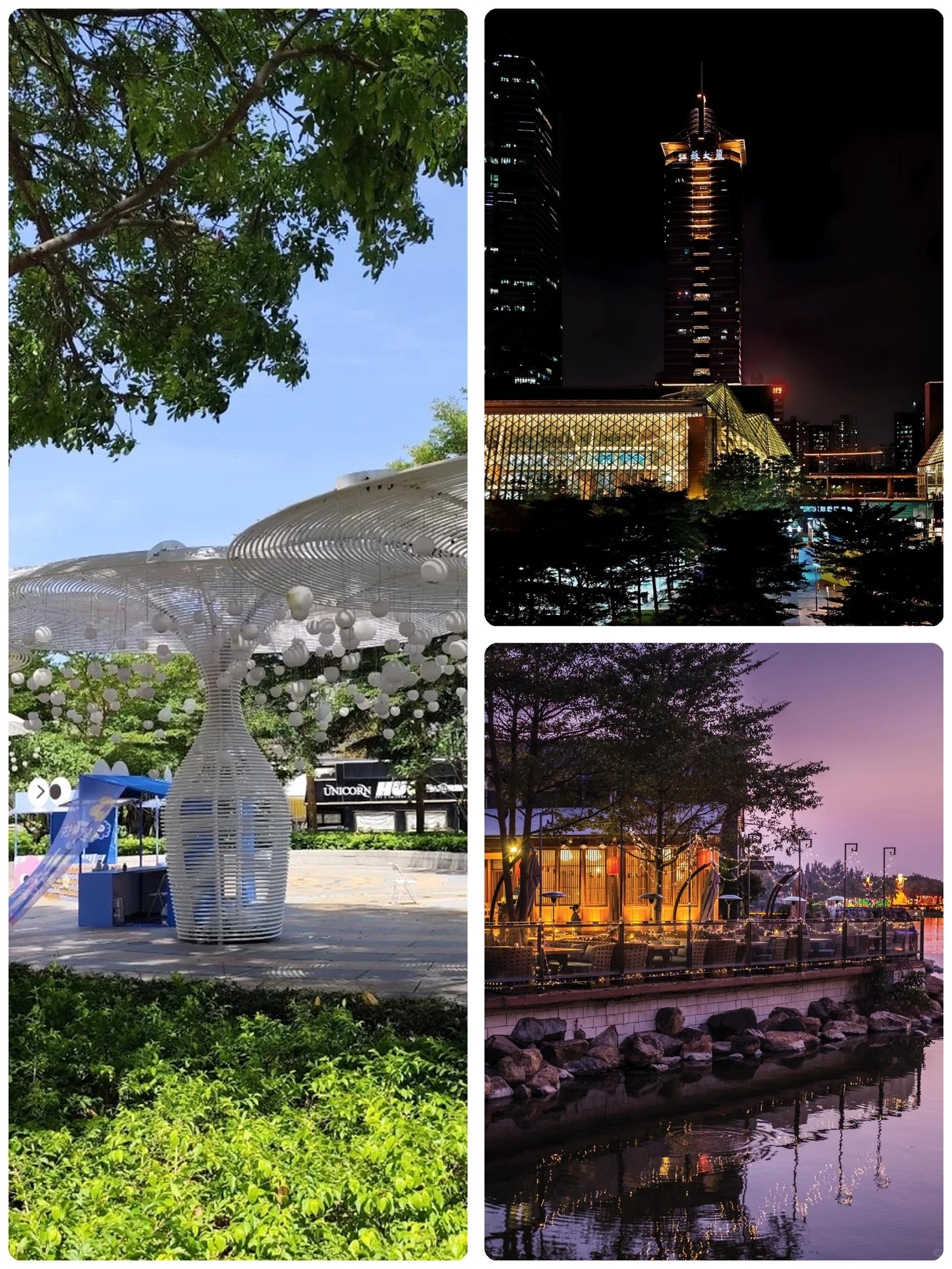 2025 深セン 観光スポット]深セン市民センターの観光ガイド（11月更新