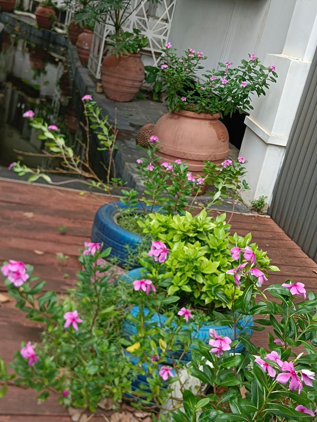柳州柏悅花園核心優勢  全域貼心管家：24小時響應，覆蓋泡腳、洗衣、洗車等場景  深度在地化服務