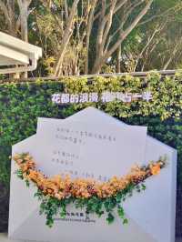 花海流年，漳州東南花都花博園