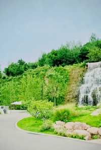 京郊賞秋天花板金山嶺阿那亞2天1夜避世指南