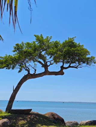 Wushi Town's Hidden Vacation Secret