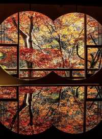 日本紅葉3大區穩妥觀賞期指南來啦