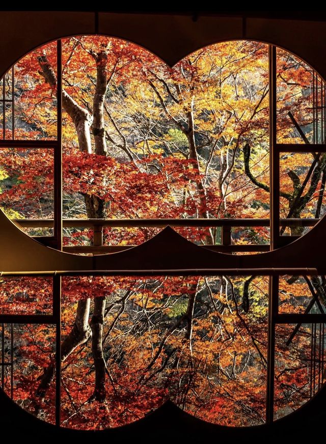 日本紅葉3大區穩妥觀賞期指南來啦