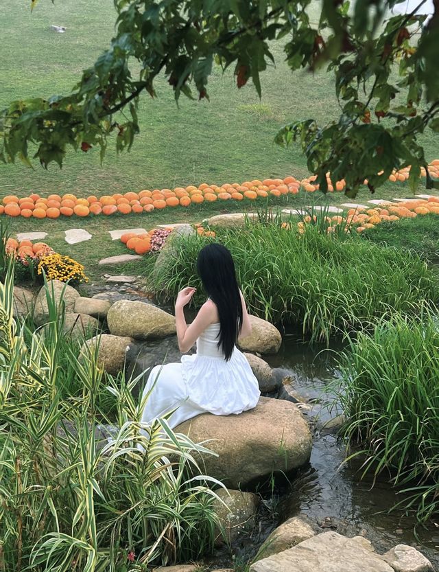 周末拉着姐妹自駕郴州仰天湖大草原！