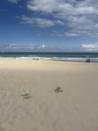 【邦迪海灘 Bondi Beach｜陽光與浪潮的自由畫布】