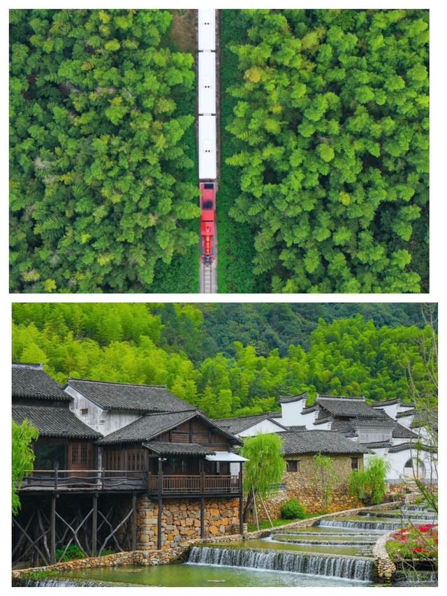 江浙滬1.5h直達的神仙小鎮！連蘇東坡都喊絕！