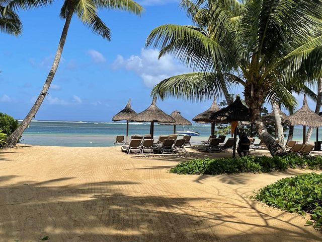 Resort Bliss in Nature's Embrace