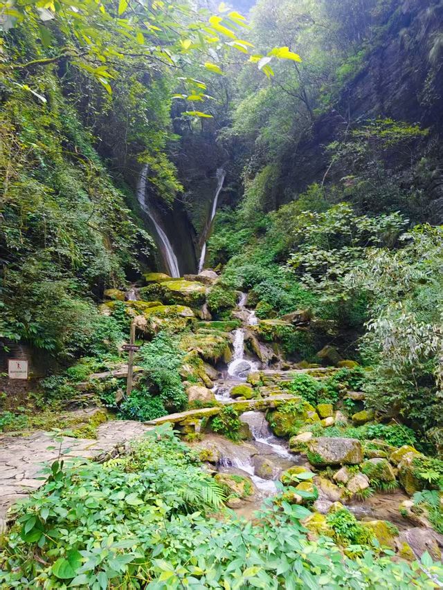 湘西秘境 | 矮寨大橋與德夯峽谷的極致浪漫