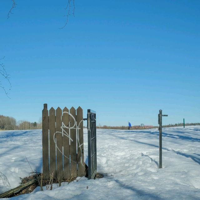 🎿 Cross-Country Skiing in Helsinki – Gliding Through a Winter Dream