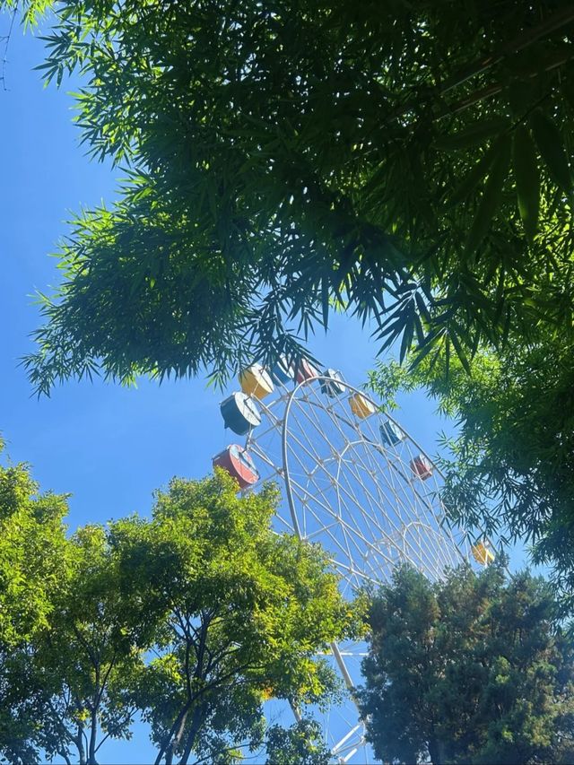 春城動物園奇遇記！20元看遍500種神奇動物！