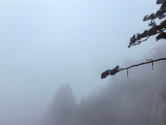 老君山尋仙記