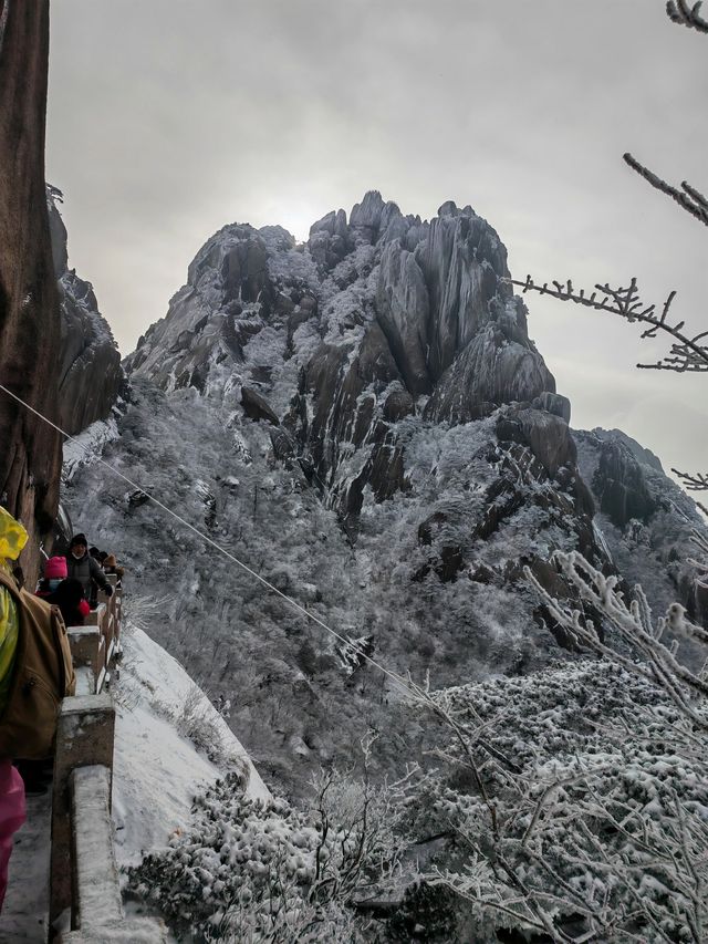 黃山冬日仙境！保姆級雪景攻略+冷門機位大公開 杭州出發2h直達！黃山雪景封神了家人們！ 